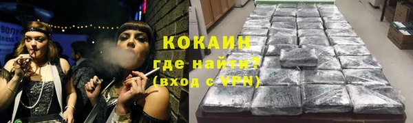 тгк Алексин