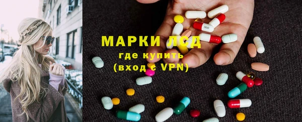 хмурый Няндома