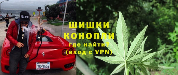 хмурый Няндома