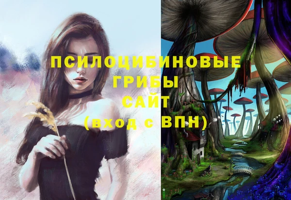 соль ск Алзамай