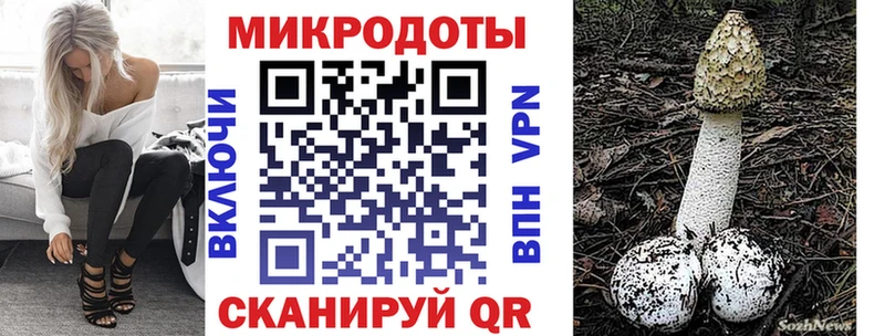Галлюциногенные грибы Psilocybe  Купить закладки  Бологое 