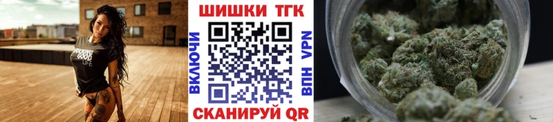 Конопля семена  Купить где  Бологое 